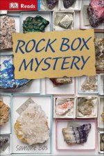 DK Reads Reading Alone Rock Box Mystery