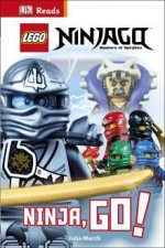 DK Reads Beggining To Read LEGO Ninjago Ninja GO