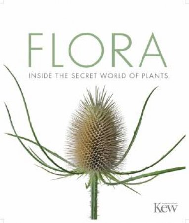 Flora: The Definitive Visual Guide To The Plant Kingdom by Various