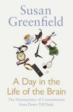 Day in the Life of the Brain The Neuroscience of Consciousness from Dawn Till Dusk A