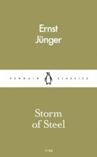 Penguin Pocket Classics Storm Of Steel