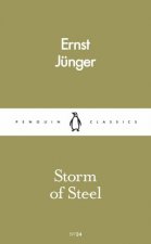 Penguin Pocket Classics Storm Of Steel