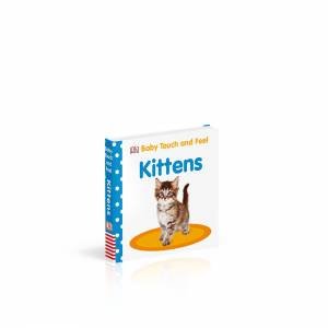 Baby Touch And Feel: Kittens by Various