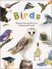 Birds Nature Explorers