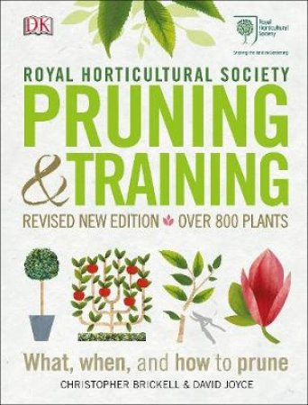 RHS Pruning And Training by Christopher Brickell 