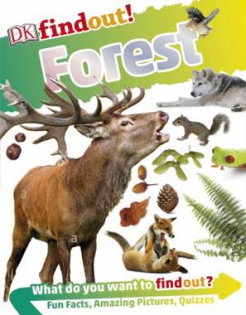 Find Out! Forest by DK