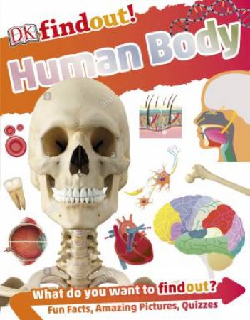 DK Find Out!: Human Body by DK