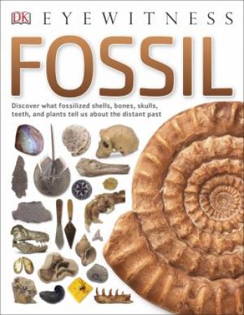 DK Eyewitness: Fossil by DK