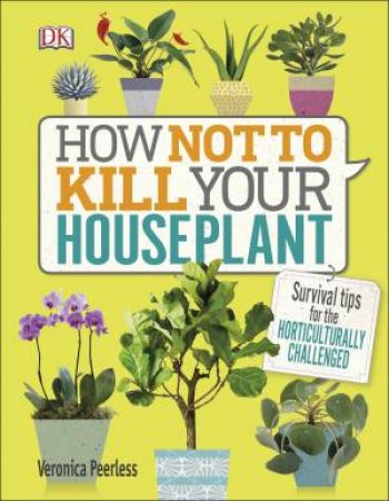 How Not To Kill Your House Plant