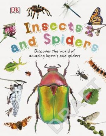 Nature Explorers: Insects And Spiders by Various
