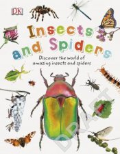 Nature Explorers Insects And Spiders