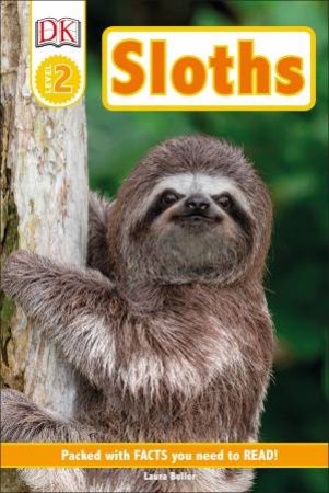 Sloths by Various