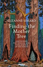 Finding The Mother Tree