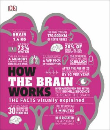 How The Brain Works by Various