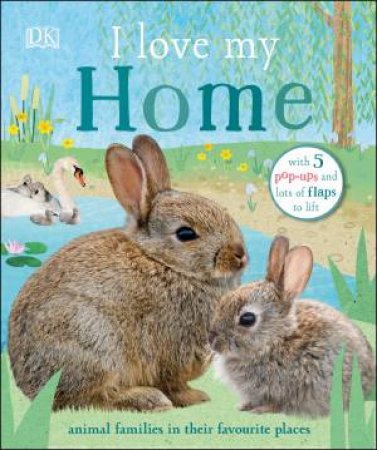 I Love My Home by Various
