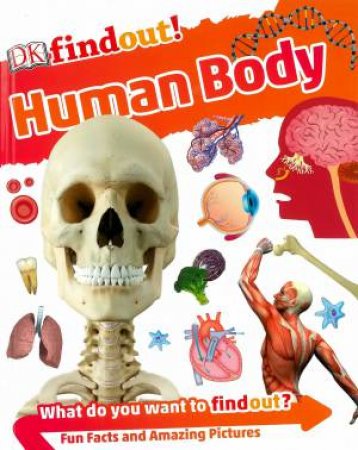 DKfindout! Human Body by Various