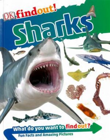 DKfindout! Sharks by Various