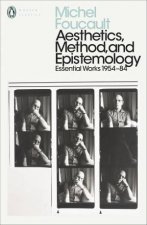 Aesthetics Method And Epistemology