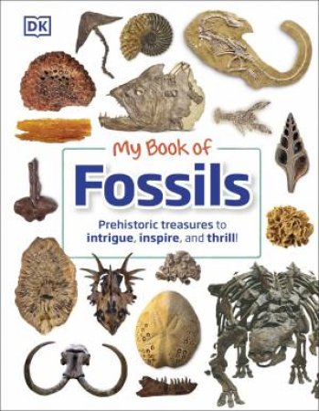 My Book Of Fossils by Various