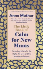 The Little Book Of Pep Talks For New Mums