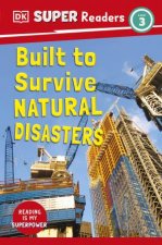 Strong Buildings Building for Natural Disasters