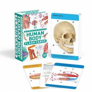 Our World in Pictures Human Body Flash Cards by DK