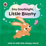 Say Goodnight Little Bunny
