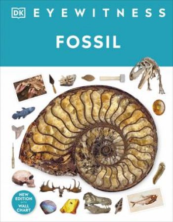 DK Eyewitness: Fossil by DK