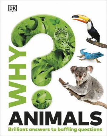 Why? Animals by DK