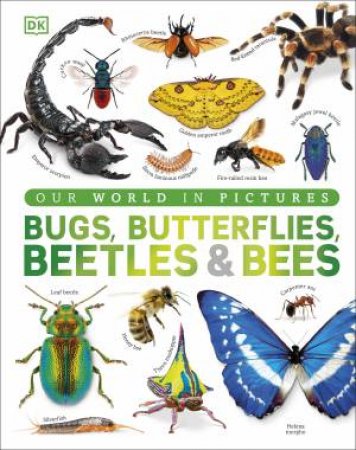 Our World in Pictures Bugs, Butterflies, Beetles and Bees by DK