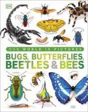 Our World in Pictures Bugs Butterflies Beetles and Bees