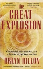 The Great Explosion Gunpowder the Great War and a Disaster on the Kent Marshes