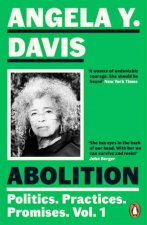Abolition Politics Practices Promises Vol 1