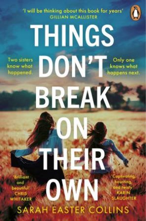 Things Don't Break On Their Own by Sarah Easter Collins