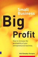 Small Business Big Profits