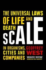 Scale
