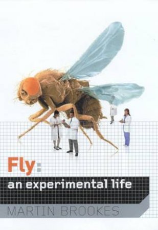 Fly: An Experimental Life by Martin Brookes