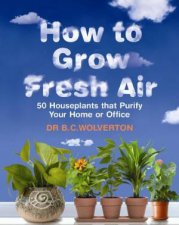 How To Grow Fresh Air 50 Houseplants That Purify Your Home Or Office