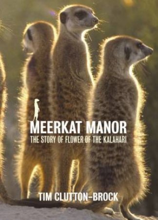 Meerkat Manor: The Story of Flower of the Kalahari by Tim Clutton-Brock