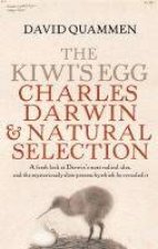 The Kiwis Egg