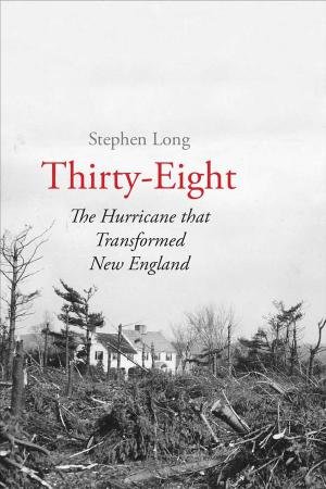 Thirty-Eight by Stephen Long