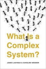 What Is A Complex System