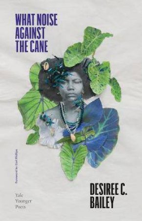 What Noise Against The Cane by Desiree C. Bailey & Carl Phillips