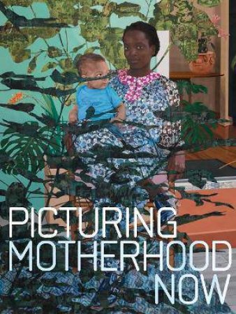 Picturing Motherhood Now by Emily Liebert & Nadiah Rivera Fellah & Rosalyn Deutsche & Thomas Lax & Laura Wexler & Naima Keith