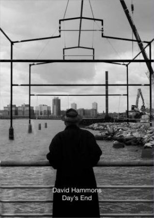 David Hammons by Adam D. Weinberg & Kellie Jones