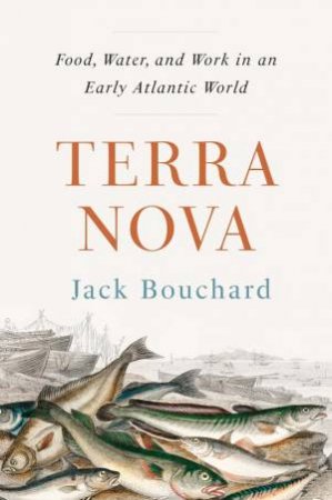 Terra Nova by Jack Bouchard