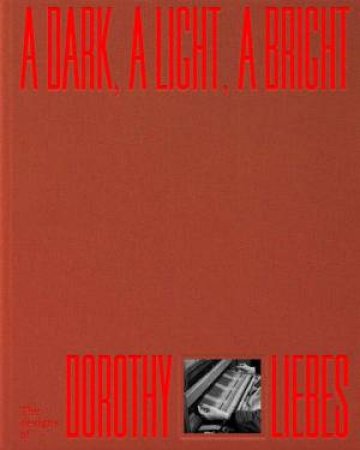 A Dark, A Light, A Bright by Alexa Griffith Winton & Susan Brown & Leigh Wishner & Erica Warren & John Stuart Gordon & Monica Penick & Emily M Orr