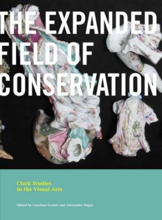 The Expanded Field of Conservation by Caroline Fowler & Alexander Nagel