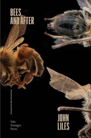 Bees, and After by John Liles & Rae Armantrout