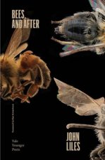 Bees and After